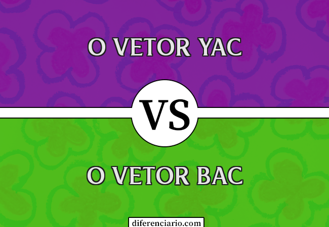 Diferença entre o vetor YAC e o vetor BAC