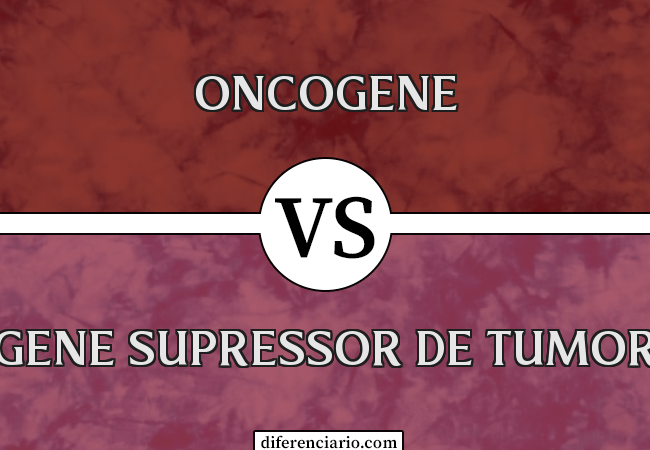 Diferença entre oncogene e gene supressor de tumor