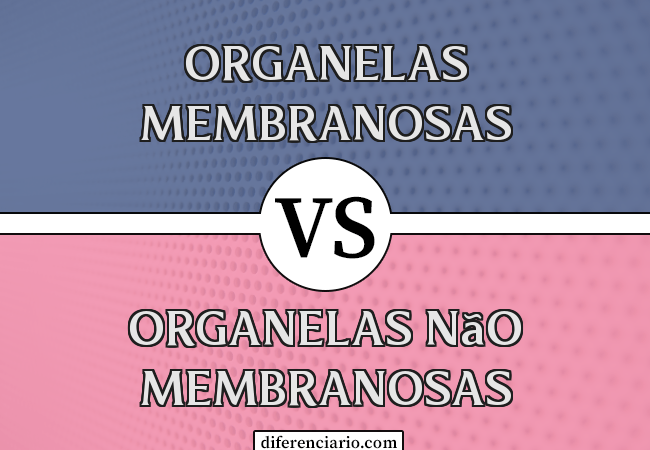 Diferença entre organelas membranosas e organelas não membranosas