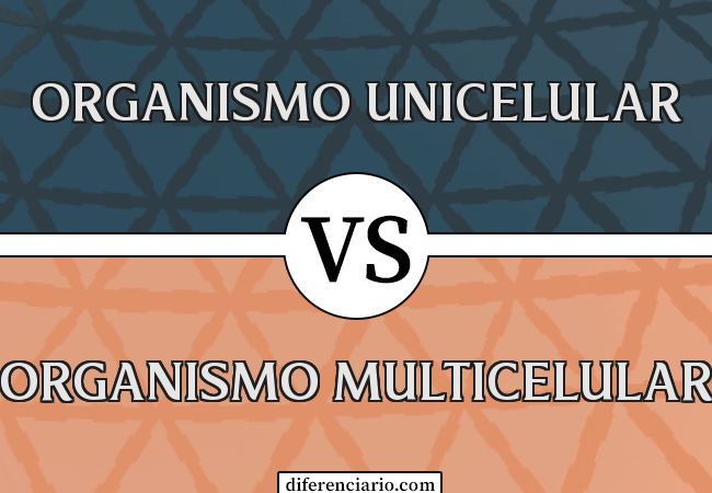 Diferença entre organismo unicelular e organismo multicelular