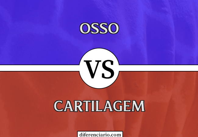 Diferença entre osso e cartilagem