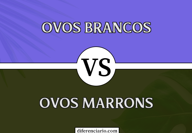 Diferença entre ovos brancos e ovos marrons