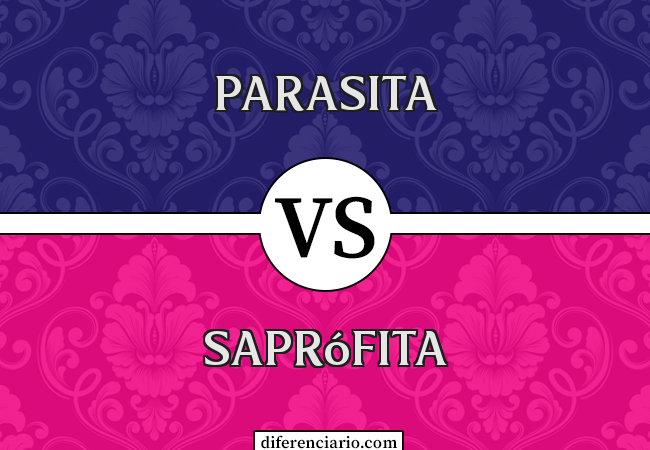 Diferença entre parasita e saprófita