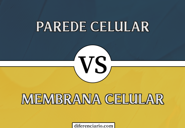 Diferença entre parede celular e membrana celular