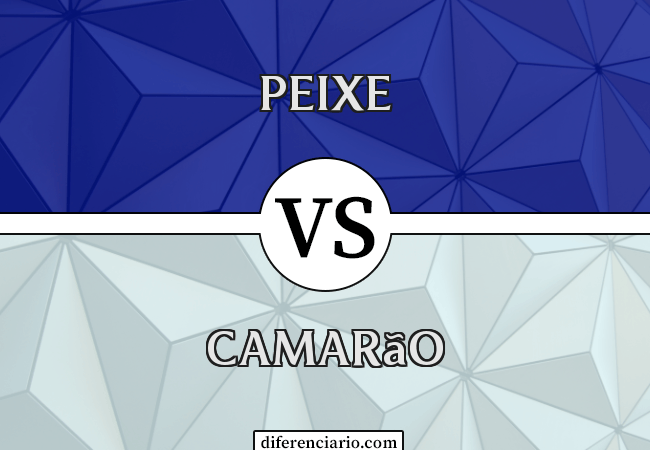 Diferença entre peixe e camarão