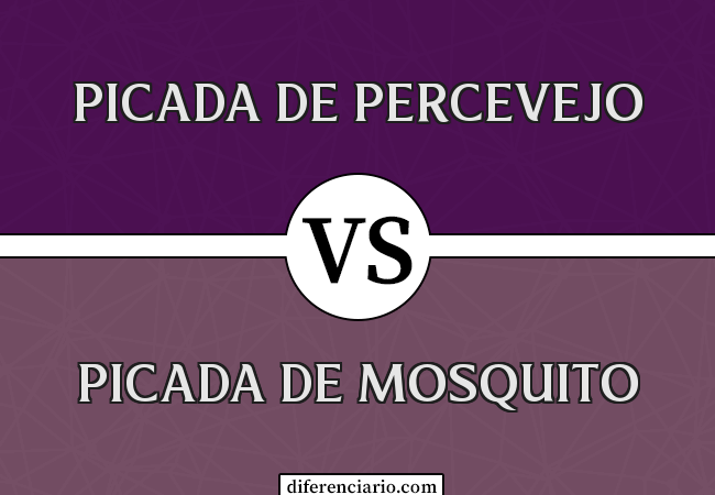 Diferença entre picada de percevejo e picada de mosquito