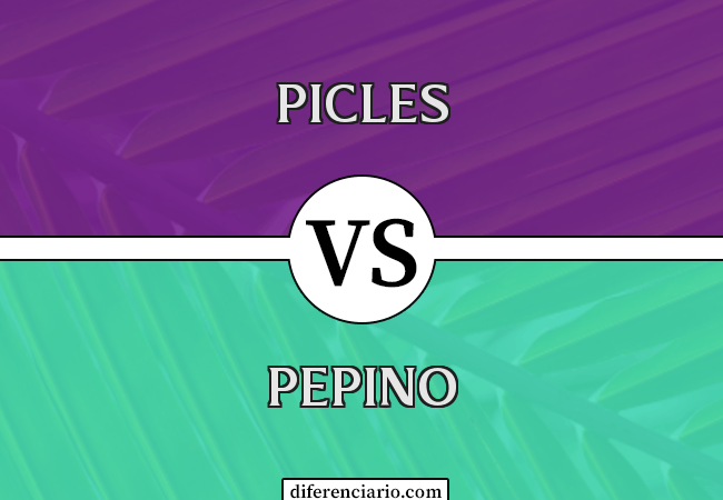 Diferença entre picles e pepino