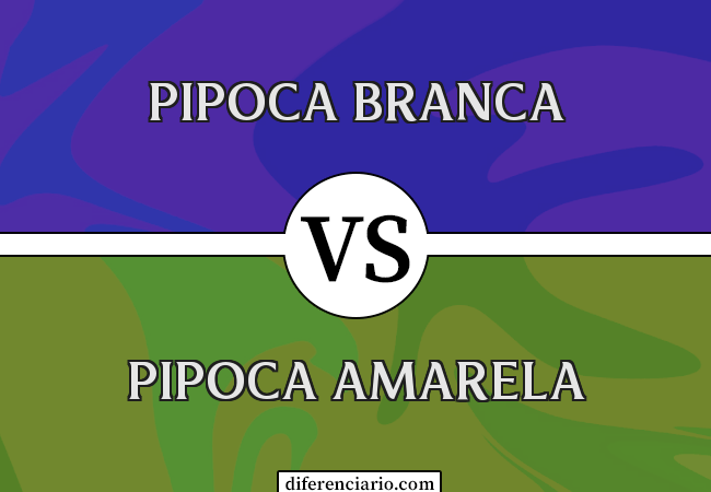 Diferença entre pipoca branca e pipoca amarela