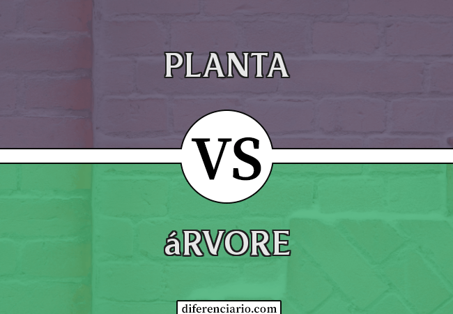 Diferença entre planta e árvore