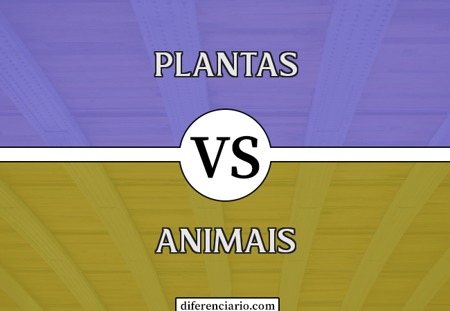 Diferença entre plantas e animais
