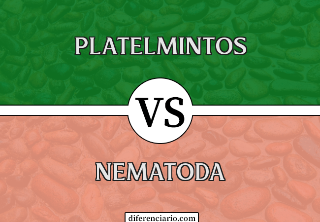 Diferença entre platelmintos e nematoda