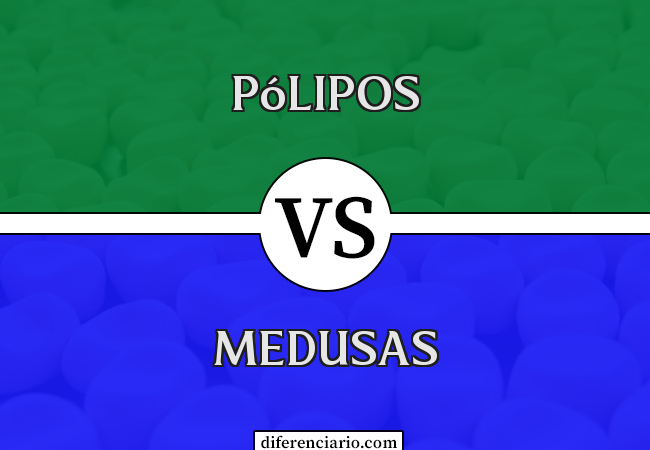 Diferença entre pólipos e medusas