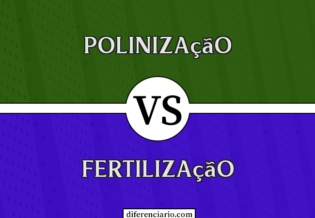 Diferença entre polinização e fertilização