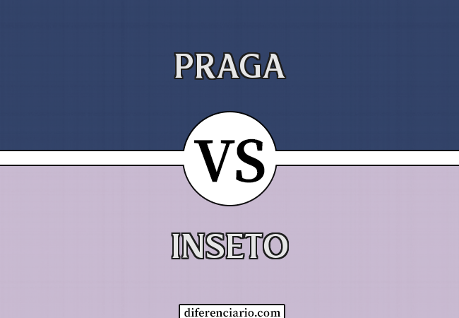 Diferença entre praga e inseto