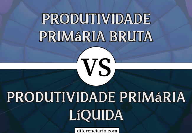 Diferença entre Produtividade Primária Bruta e Produtividade Primária Líquida