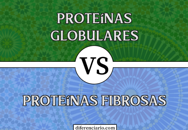 Diferença entre proteínas globulares e proteínas fibrosas