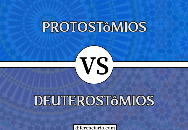 Diferença entre Protostômios e Deuterostômios