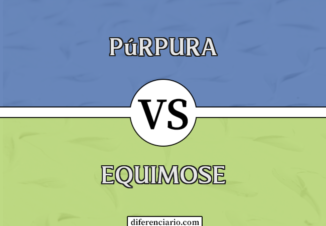 Diferença entre púrpura e equimose