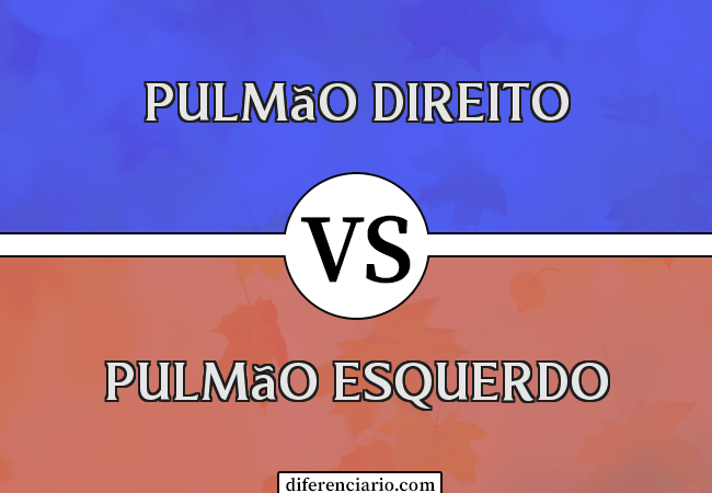 Diferença entre pulmão direito e pulmão esquerdo