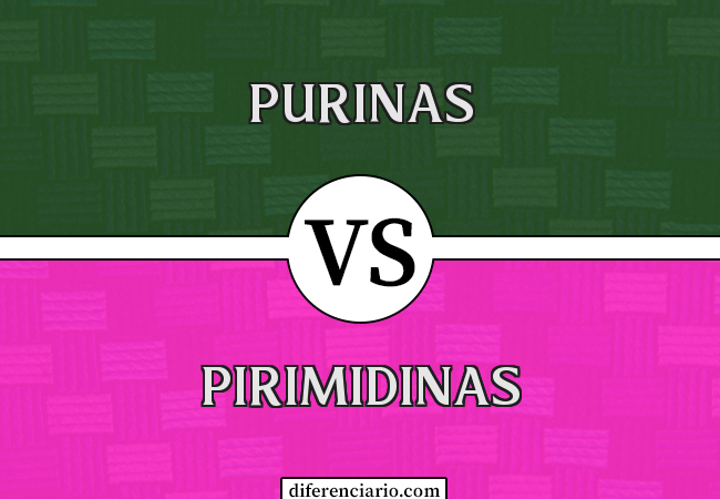 Diferença entre purinas e pirimidinas