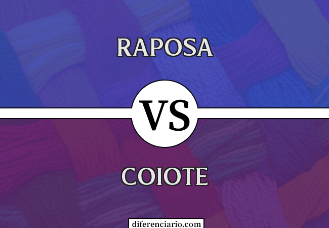 Diferença entre raposa e coiote