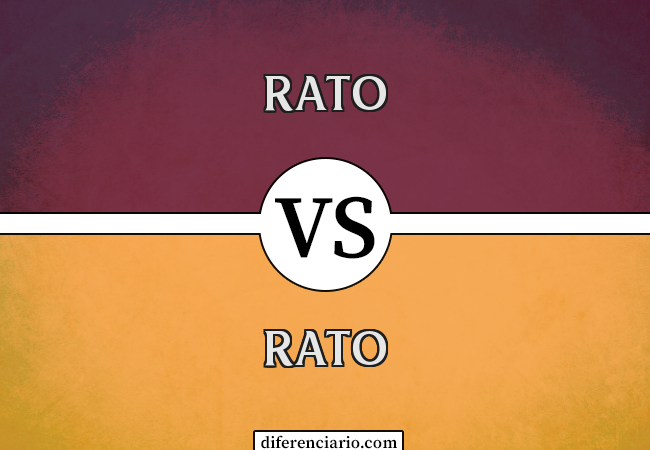 Diferença entre Rato e Rato