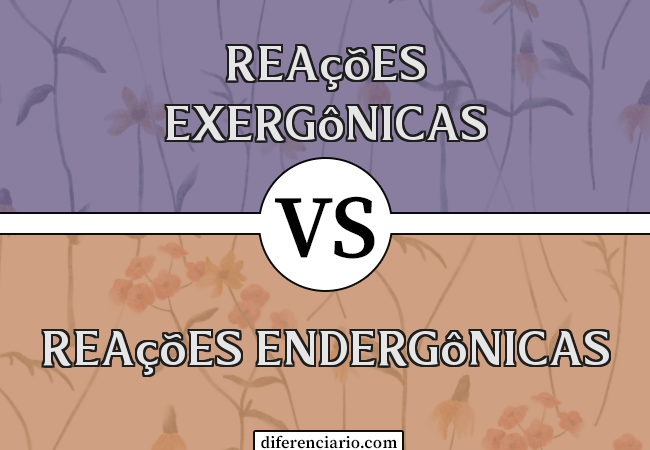 Diferença entre reações exergônicas e reações endergônicas