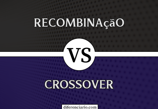 Diferença entre recombinação e crossover