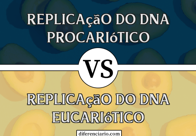 Diferença entre a replicação do DNA procariótico e a replicação do DNA eucariótico