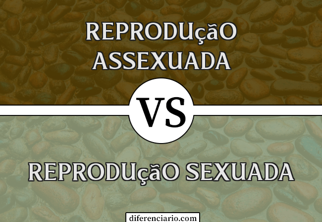 Diferença entre reprodução assexuada e reprodução sexuada