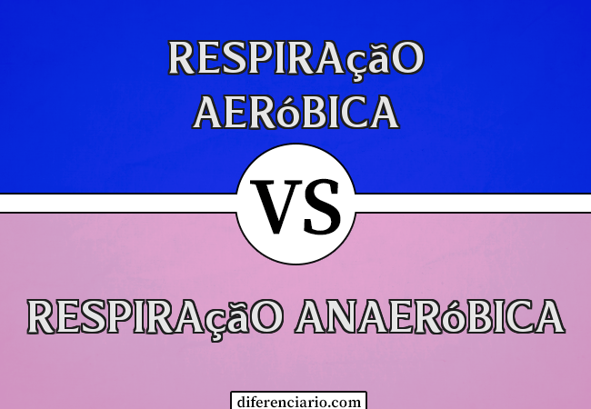 Diferença entre respiração aeróbica e respiração anaeróbica