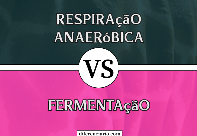 Diferença entre respiração anaeróbica e fermentação