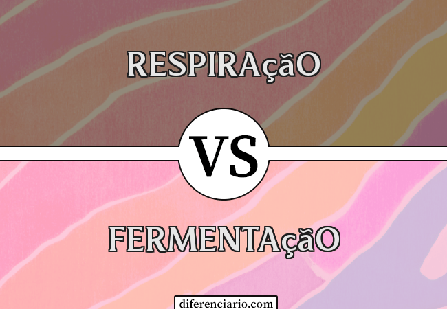 Diferença entre respiração e fermentação