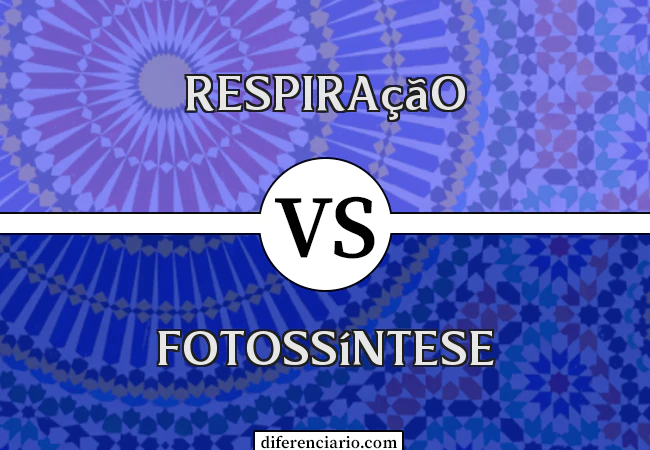 Diferença entre respiração e fotossíntese