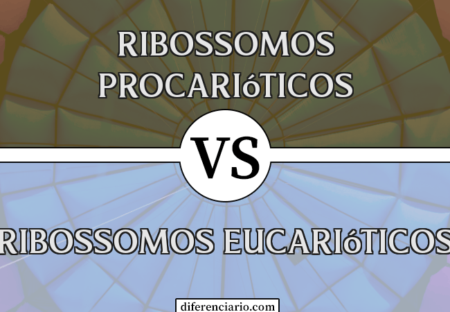 Diferença entre ribossomos procarióticos e ribossomos eucarióticos