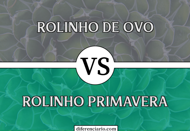 Diferença entre rolinho de ovo e rolinho primavera