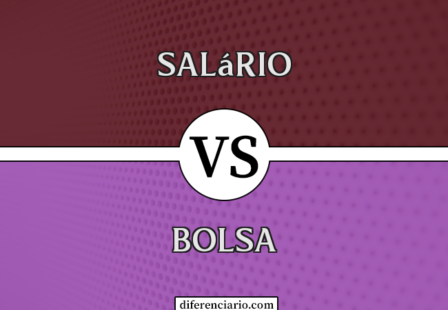 Diferença entre salário e bolsa