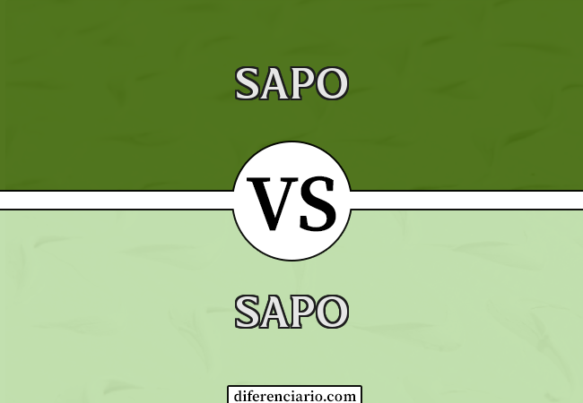 Diferença entre sapo e sapo