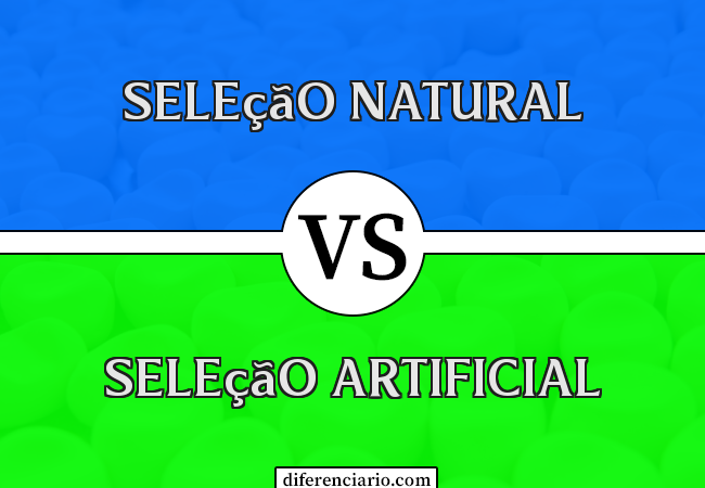 Diferença entre Seleção Natural e Seleção Artificial