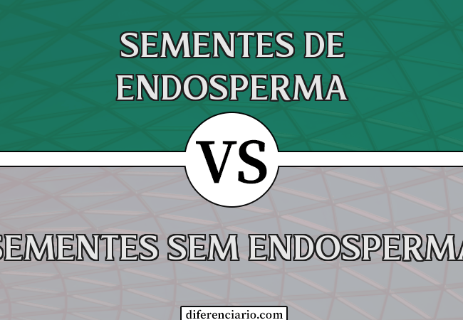 Diferença entre sementes de endosperma e sementes sem endosperma