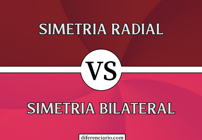 Diferença entre simetria radial e simetria bilateral