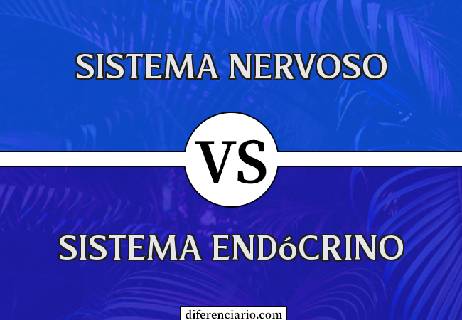 Diferença entre sistema nervoso e sistema endócrino