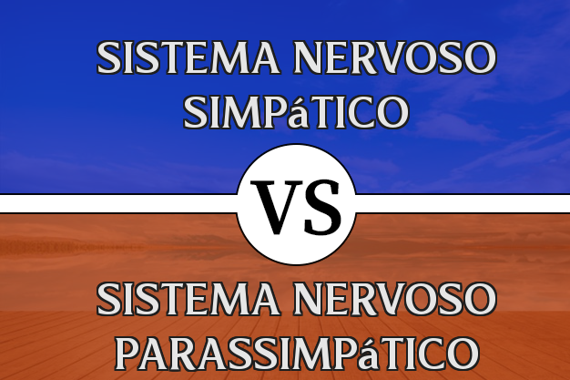 Diferença entre Sistema Nervoso Simpático e Sistema Nervoso Parassimpático