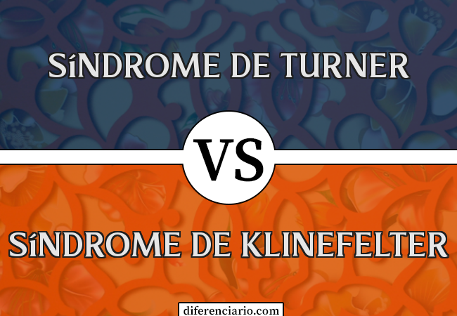 Diferença entre a síndrome de Turner e a síndrome de Klinefelter