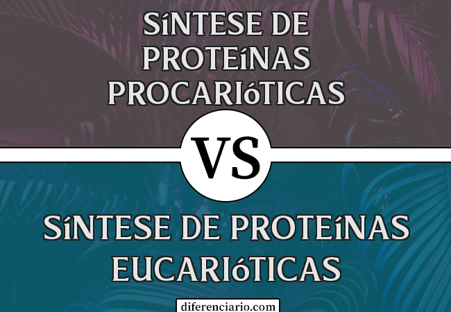 Diferença entre a síntese de proteínas procarióticas e a síntese de proteínas eucarióticas