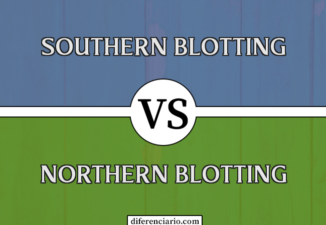 Diferença entre Southern Blotting e Northern Blotting