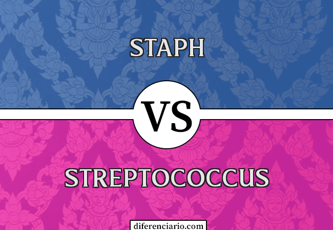 Diferença entre Staph e Streptococcus