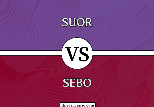 Diferença entre suor e sebo