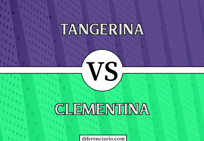 Diferença entre tangerina e clementina