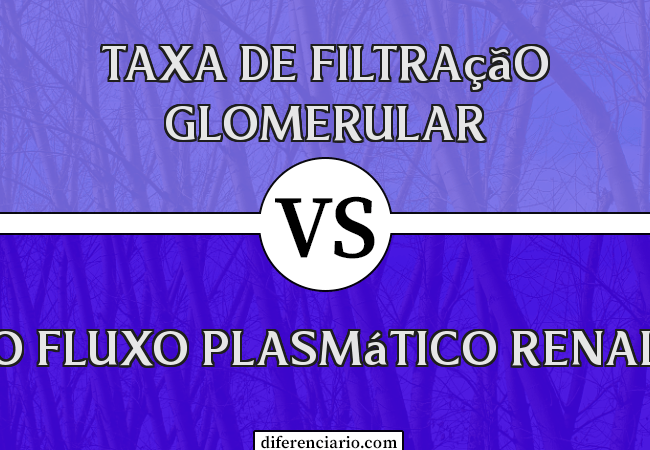 Diferença entre a taxa de filtração glomerular e o fluxo plasmático renal